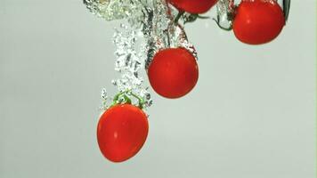 tomates tomber en dessous de l'eau sur une lumière Contexte. filmé sur une grande vitesse caméra à 1000 ips. haute qualité Full HD métrage video