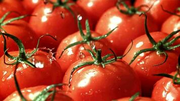 gotas do água outono em tomates. filmado em uma alta velocidade Câmera às 1000 fps. Alto qualidade fullhd cenas video