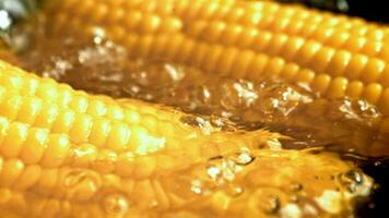 Corn is boiled in a saucepan. Filmed on a highspeed camera at 1000 fps. High quality FullHD footage video