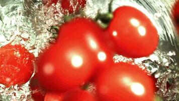 pomodori autunno in un' secchio di acqua. girato su un' ad alta velocità telecamera a 1000 fps. alto qualità FullHD metraggio video