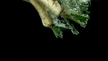 Parsley root puts under water. Filmed on a highspeed camera at 1000 fps. High quality FullHD footage video