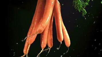 Carrots in the hands of a man with splashes of water. Filmed on a highspeed camera at 1000 fps. High quality FullHD footage video