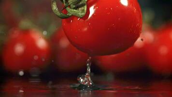 un tomate caídas en un mojado tablero. filmado en un alta velocidad cámara a 1000 fps. alto calidad full HD imágenes video