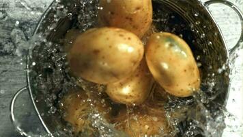 Potatoes fall into a bucket of water. Filmed on a highspeed camera at 1000 fps. High quality FullHD footage video