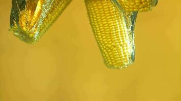 maíz caídas debajo agua en un amarillo antecedentes. filmado en un alta velocidad cámara a 1000 fps. alto calidad full HD imágenes video