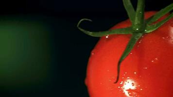 Tomatoes collide with water drops in the air. Filmed on a highspeed camera at 1000 fps. High quality FullHD footage video