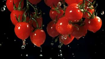 water afvoeren van kers tomaten. gefilmd Aan een hoge snelheid camera Bij 1000 fps. hoog kwaliteit full HD beeldmateriaal video