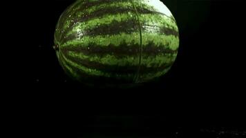 das Wassermelone Stürze auf das Tabelle und spaltet sich im Hälfte. gefilmt auf ein schnelle Geschwindigkeit Kamera beim 1000 fps. hoch Qualität fullhd Aufnahmen video