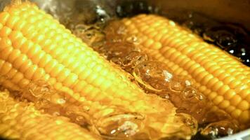 maíz es hervido en un cacerola. filmado en un alta velocidad cámara a 1000 fps. alto calidad full HD imágenes video