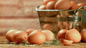 Dried hay falls on the eggs. Filmed on a highspeed camera at 1000 fps. High quality FullHD footage video