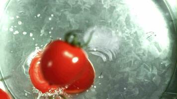 pomodori autunno in un' secchio di acqua. girato su un' ad alta velocità telecamera a 1000 fps. alto qualità FullHD metraggio video