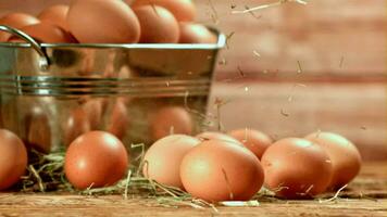 Dried hay falls on the eggs. Filmed on a highspeed camera at 1000 fps. High quality FullHD footage video