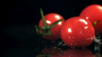 tomates tomber sur une humide tableau. filmé sur une grande vitesse caméra à 1000 ips. haute qualité Full HD métrage video