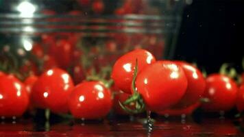 tomates tomber sur une humide tableau. filmé sur une grande vitesse caméra à 1000 ips. haute qualité Full HD métrage video