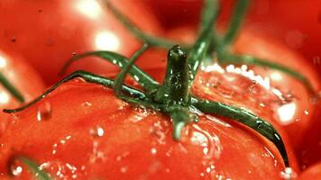 Tropfen von Wasser fallen auf Tomaten. Makro Schuss. gefilmt auf ein schnelle Geschwindigkeit Kamera beim 1000 fps. hoch Qualität fullhd Aufnahmen video