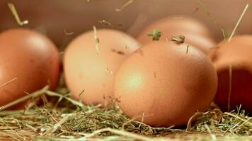 Dried hay falls on the eggs. Filmed on a highspeed camera at 1000 fps. High quality FullHD footage video