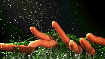 Carrots fly up with splashes of water. Filmed on a highspeed camera at 1000 fps. High quality FullHD footage video