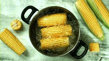 Corn in a pot of boiling water. Filmed on a highspeed camera at 1000 fps. High quality FullHD footage video