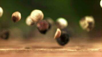 Peppercorn falling on the table. Macro shot. Filmed on a highspeed camera at 1000 fps. High quality FullHD footage video