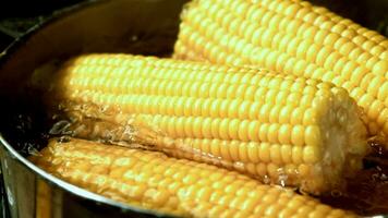 maíz es cocido en hirviendo agua. filmado en un alta velocidad cámara a 1000 fps. alto calidad full HD imágenes video