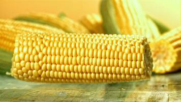 A cob of corn falls on a wet table. Filmed on a highspeed camera at 1000 fps. High quality FullHD footage video