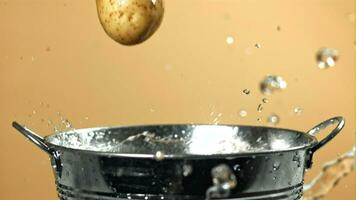 aardappelen vallen in een emmer van water. gefilmd Aan een hoge snelheid camera Bij 1000 fps. hoog kwaliteit full HD beeldmateriaal video