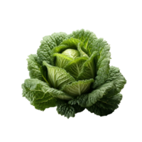 Cabbage on transparent background, created with generative AI png