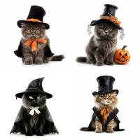 Halloween cats set isolated on white background, created with generative AI photo