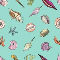 Hand drawn seamless pattern with seashells. Vector colorful background.