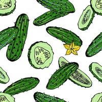 Seamless pattern with cucumber, slice, flower. Colorful hand drawn background with vegetables. vector wallpaper.