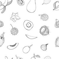 Seamless pattern with exotic tropical fruits. Black and white contour vector background.