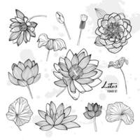 Set of lotus flower in different views. Bloomed, buds and leaves. Hand drawn contour illustrations collection. vector