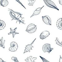 Hand drawn seamless pattern with seashells. Vector monochrome background.