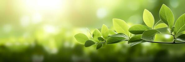 Close up of nature view green leaf on blurred greenery background. Generative AI photo