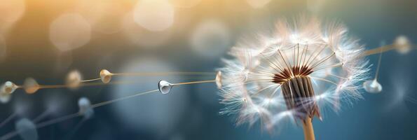 Abstract blurred nature background dandelion seeds parachute. Bokeh pattern. Generative AI photo