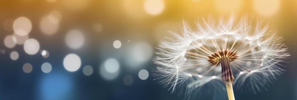 resumen borroso naturaleza antecedentes diente de león semillas paracaídas. bokeh modelo. generativo ai foto