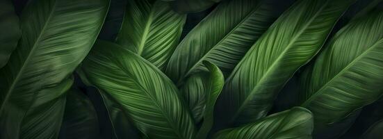Abstract green leaf texture with nature background, tropical leaf. Generative AI photo