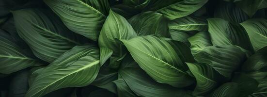 resumen verde hoja textura con naturaleza fondo, tropical hoja. generativo ai foto
