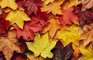 Background of autumn leaves. Autumn background. Generative AI photo