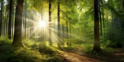 Beautiful rays of sunlight in a green forest. Generative AI photo