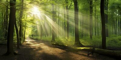 hermosa rayos de luz de sol en un verde bosque. generativo ai foto