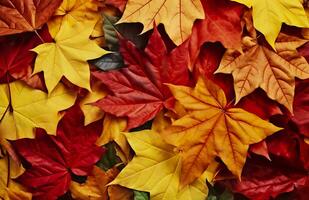 Background of autumn leaves. Autumn background. Generative AI photo