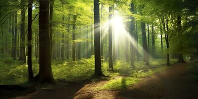 Beautiful rays of sunlight in a green forest. Generative AI photo