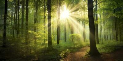 hermosa rayos de luz de sol en un verde bosque. generativo ai foto