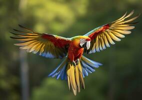 Flying macaw, beautiful bird. Generative AI photo