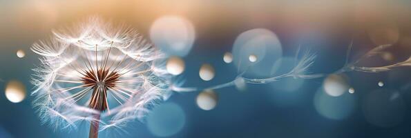 Abstract blurred nature background dandelion seeds parachute. Bokeh pattern. Generative AI photo