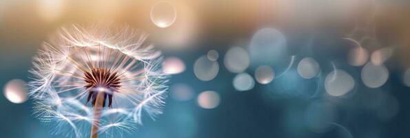 Abstract blurred nature background dandelion seeds parachute. Bokeh pattern. Generative AI photo