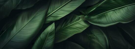 Abstract green leaf texture with nature background, tropical leaf. Generative AI photo