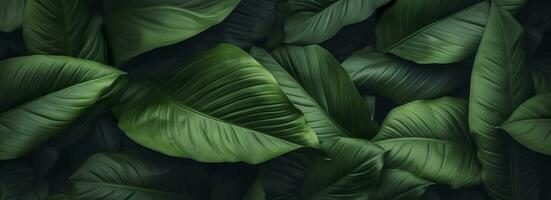 Abstract green leaf texture with nature background, tropical leaf. Generative AI photo