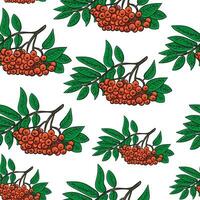 Seamless pattern, rowan branches and twigs with leaves on a white background. Autumn print, textile or background vector